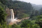 Cameroon waterfall out of the woods