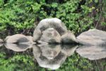 Cameroon reflection in the water