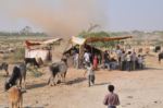 India sandstorm on Pushkar fair