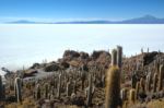 Bolivia Uyuni