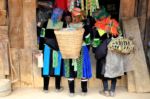 Vietnam Women carrying life stock