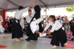 Budo Academie Physical ede (3)