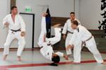 Budo Academie Physical ede (15)